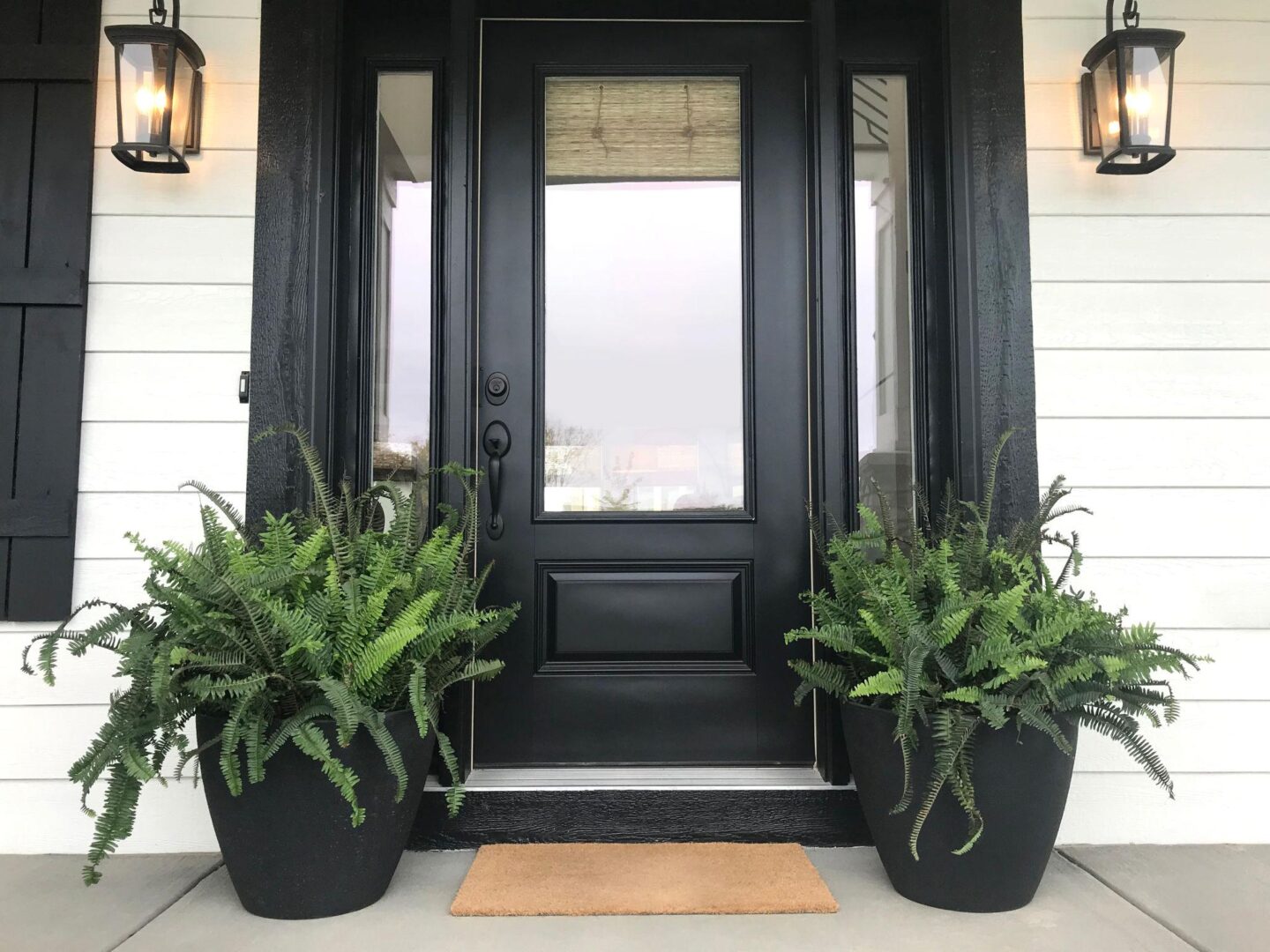 black front door with green plants