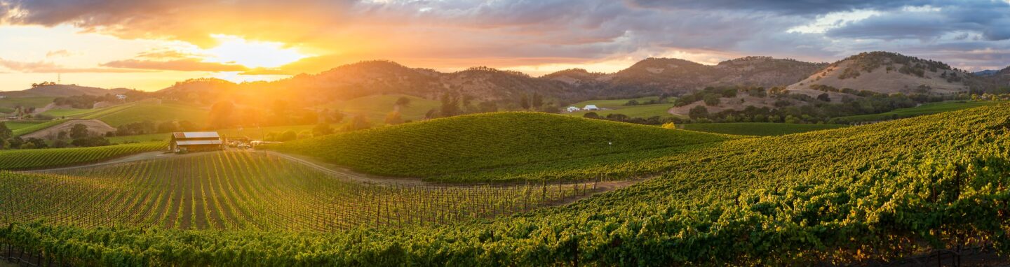 napa valley travel guide,